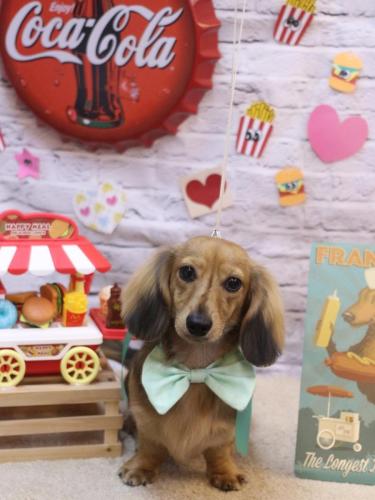 20230919ラテくん